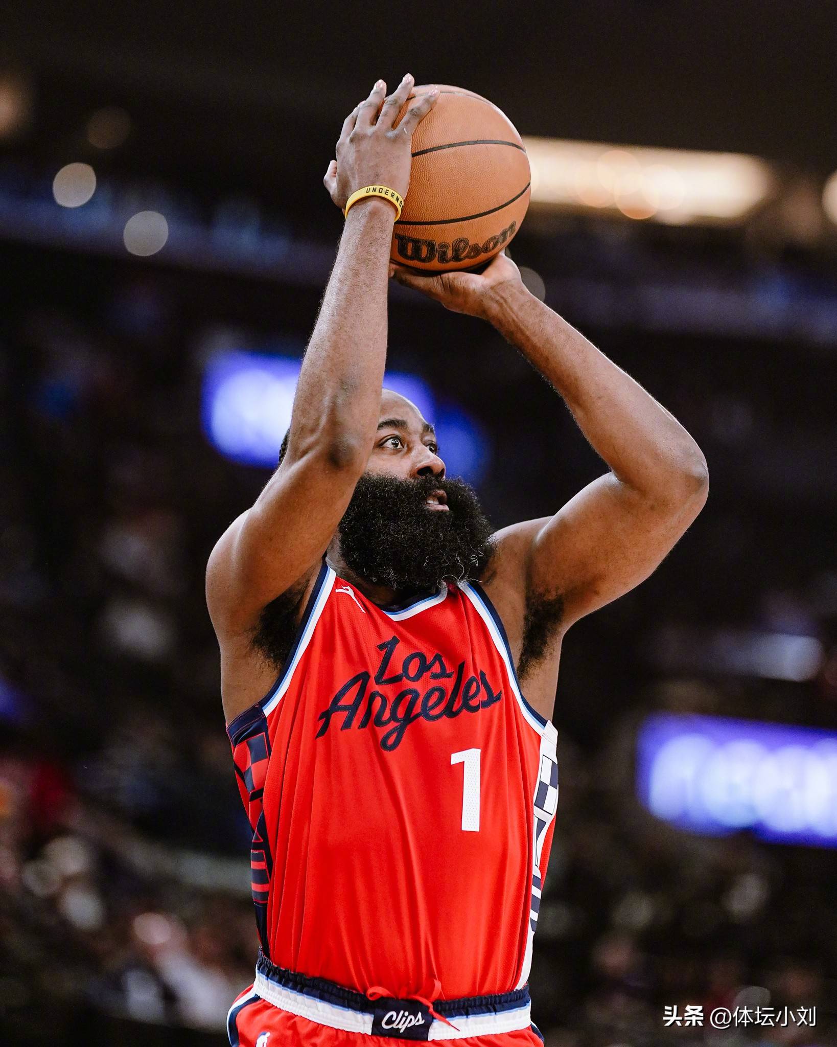 为了不打扰 为了不打扰