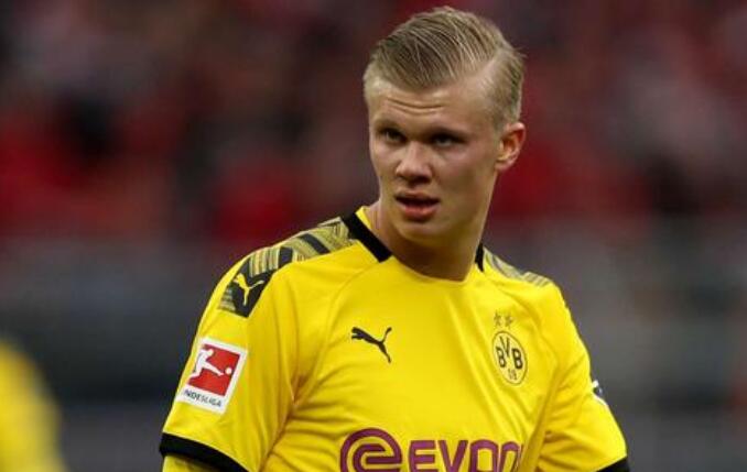 归化前锋 归化前锋